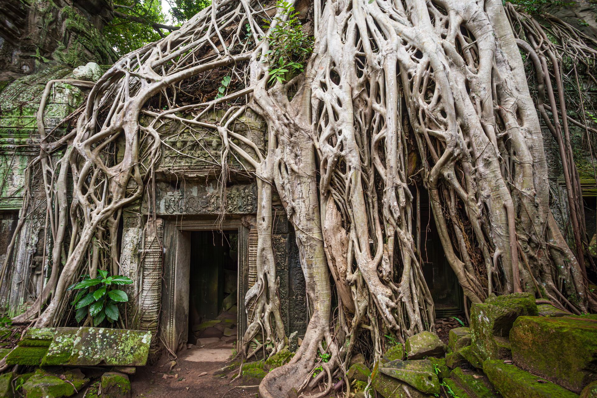 Cambodja