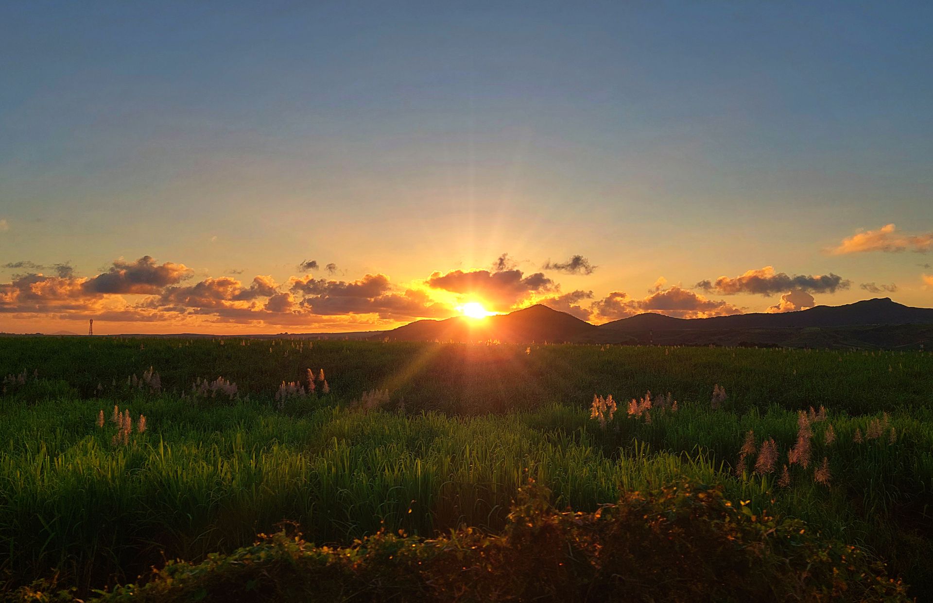 mauritius