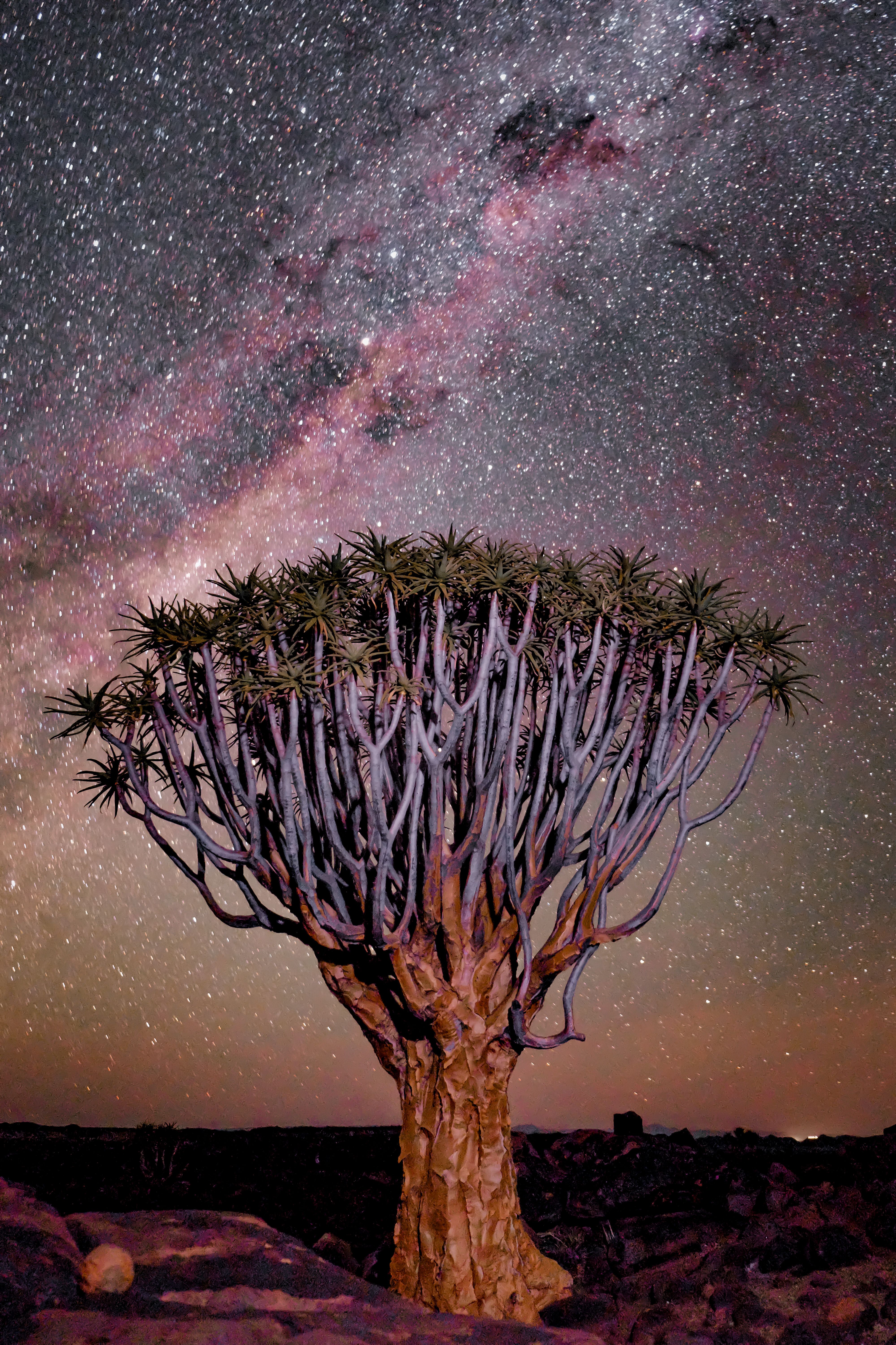 namibie