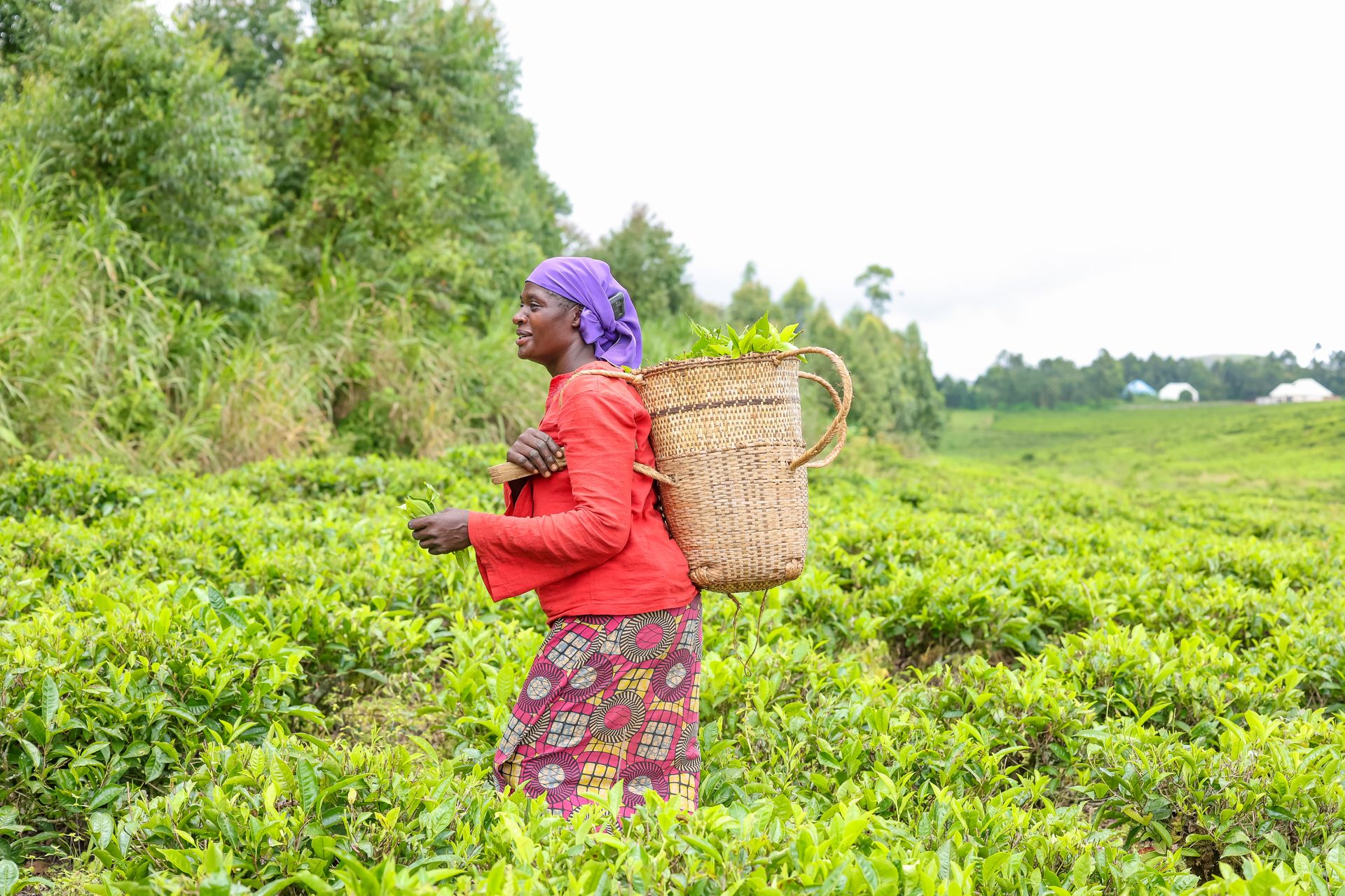 rwanda
