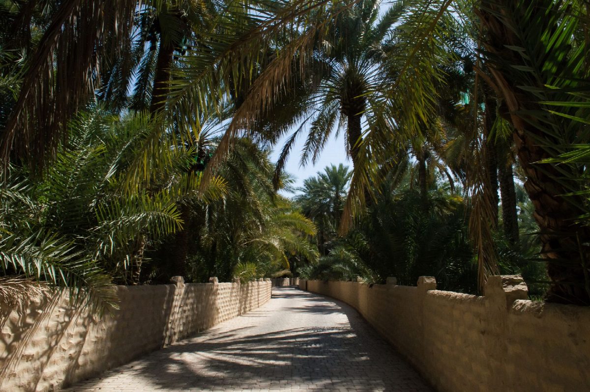 abu-dhabi