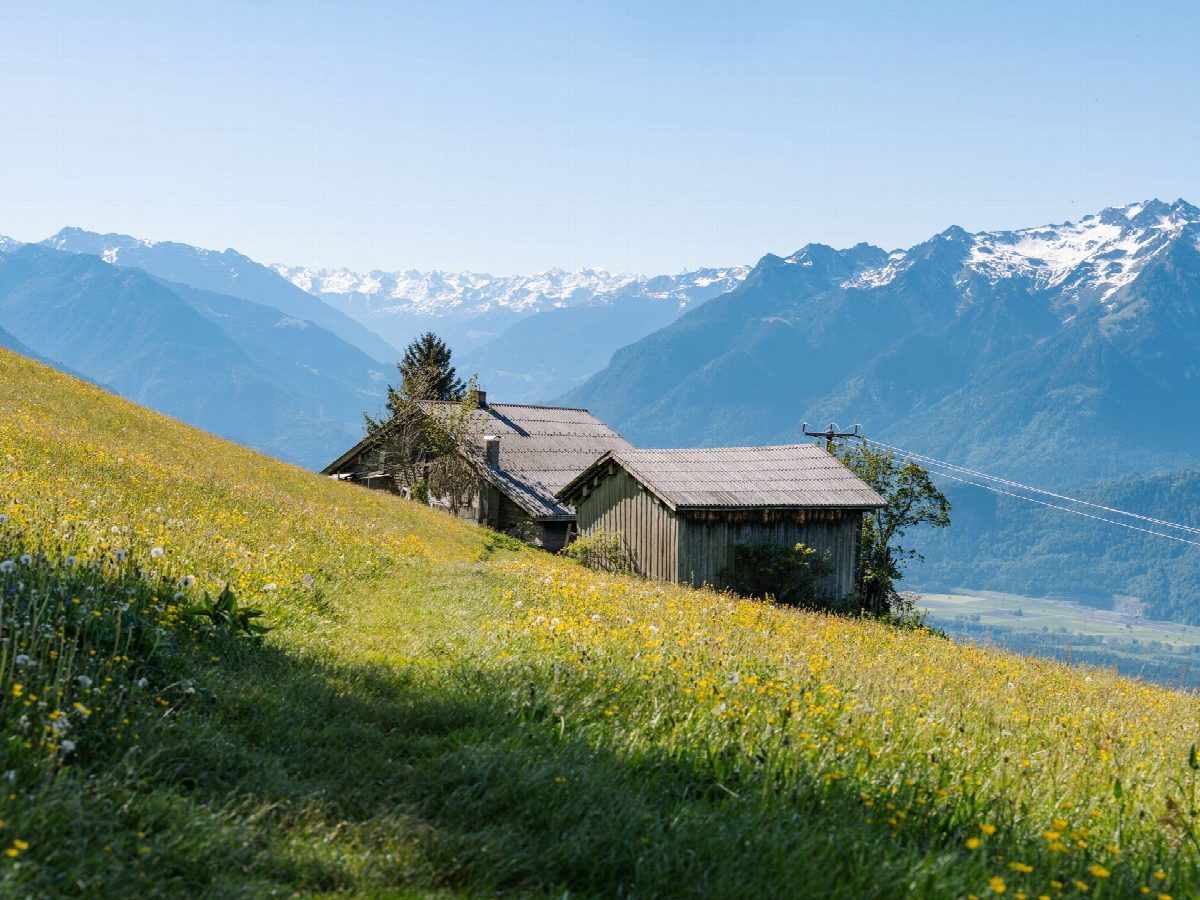 The Alps