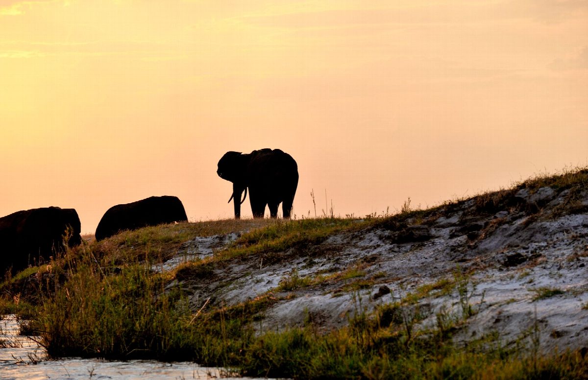 botswana