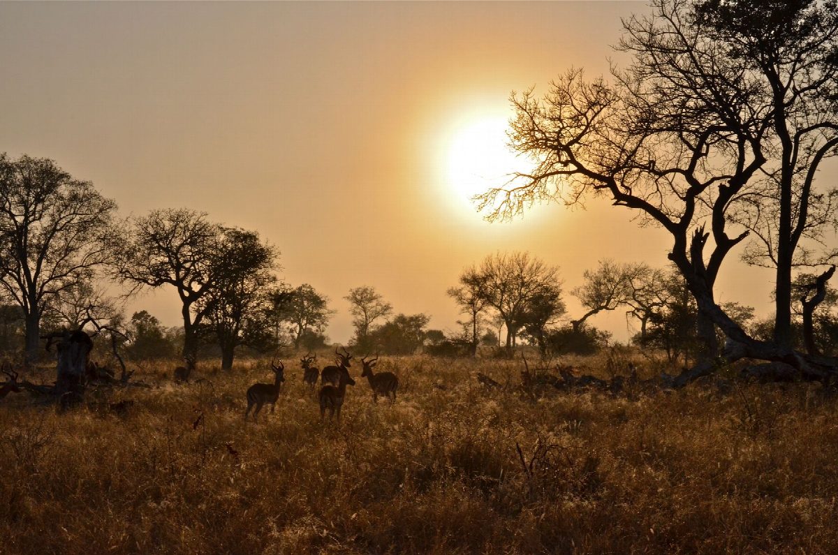 botswana