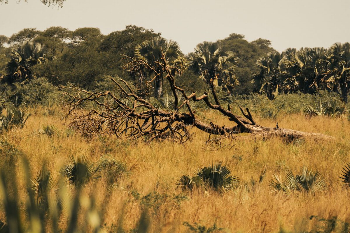 botswana