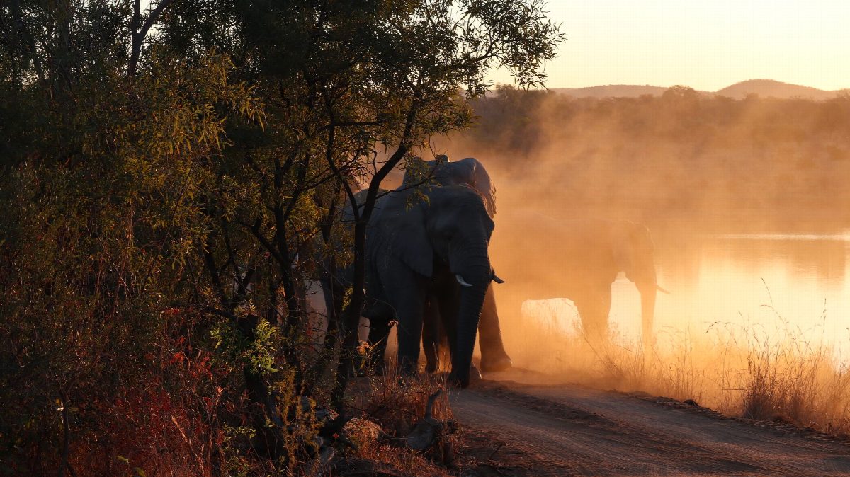 botswana