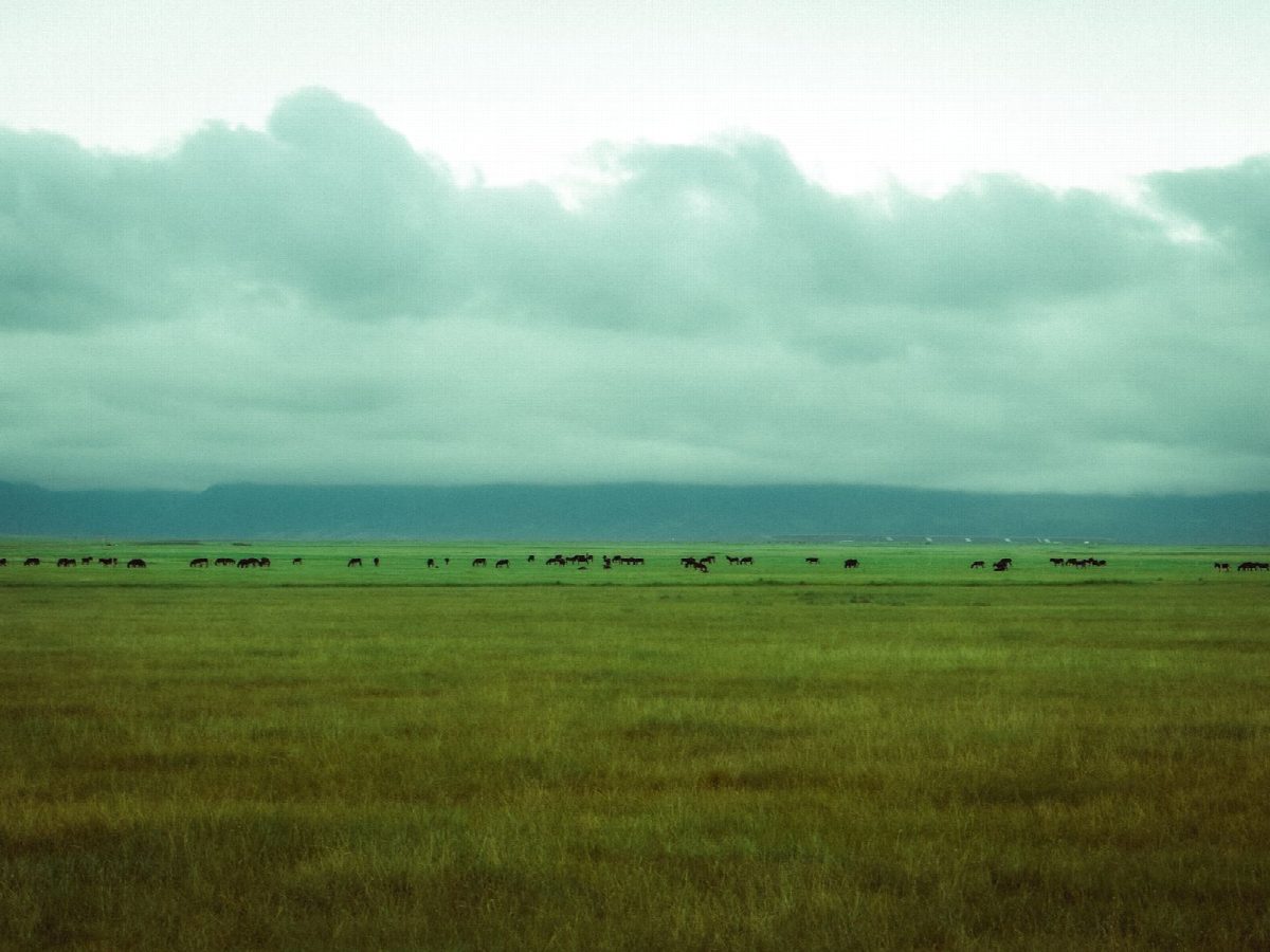 botswana