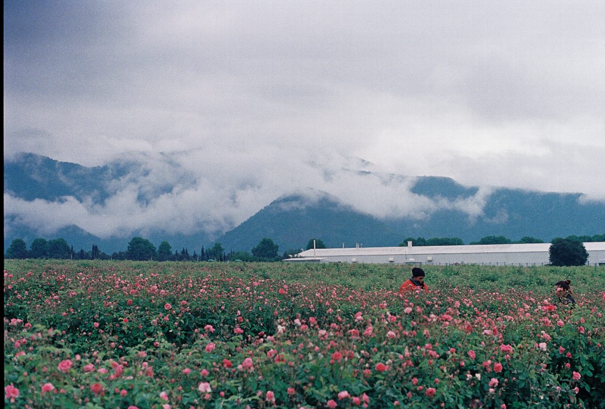 Bulgaria
