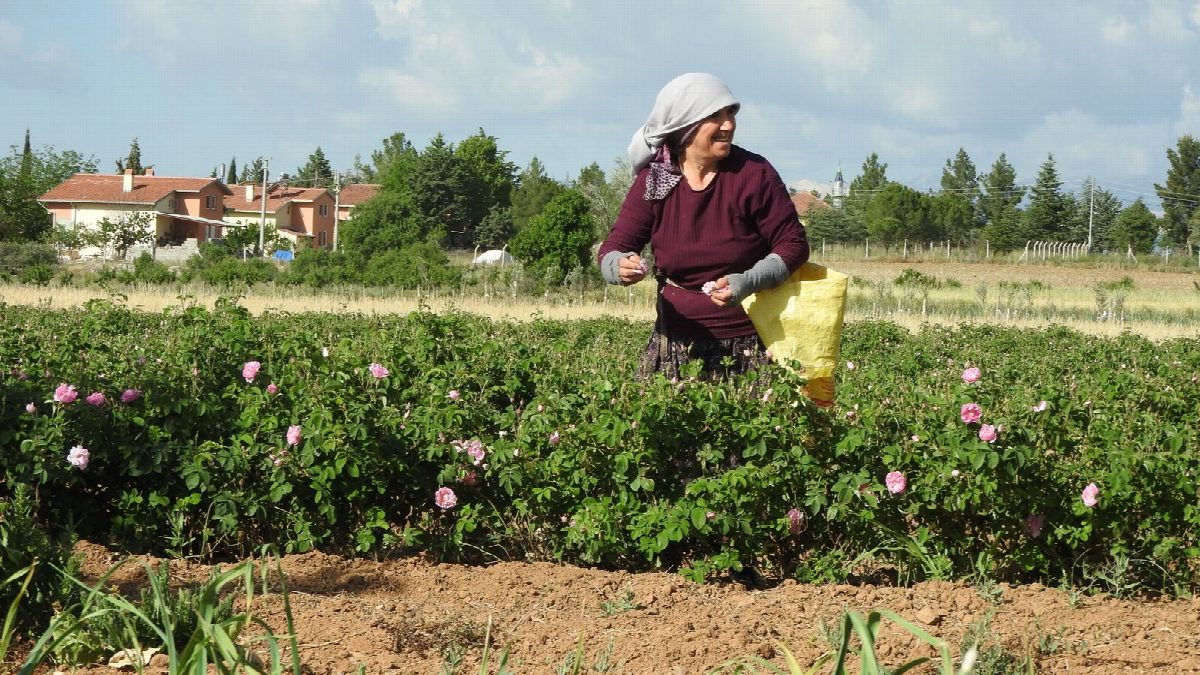 bulgarije