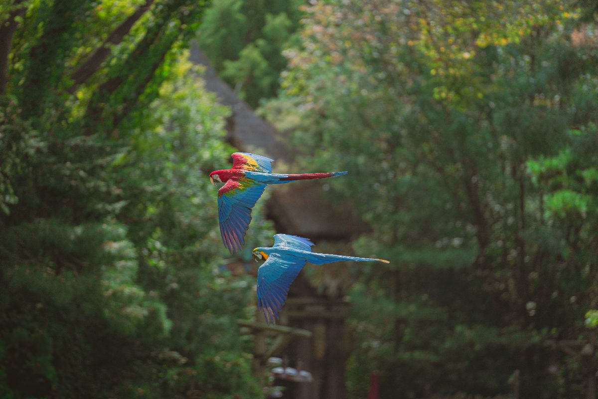 costa-rica