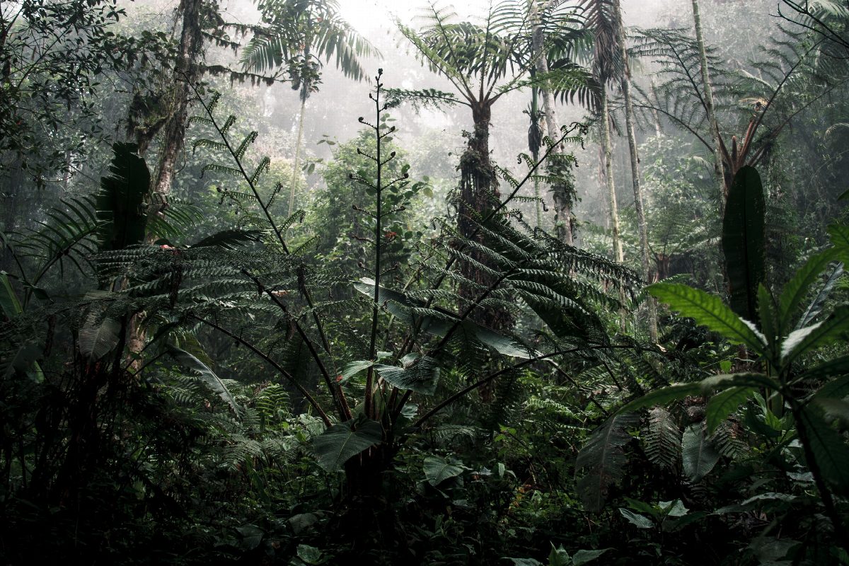 costa-rica