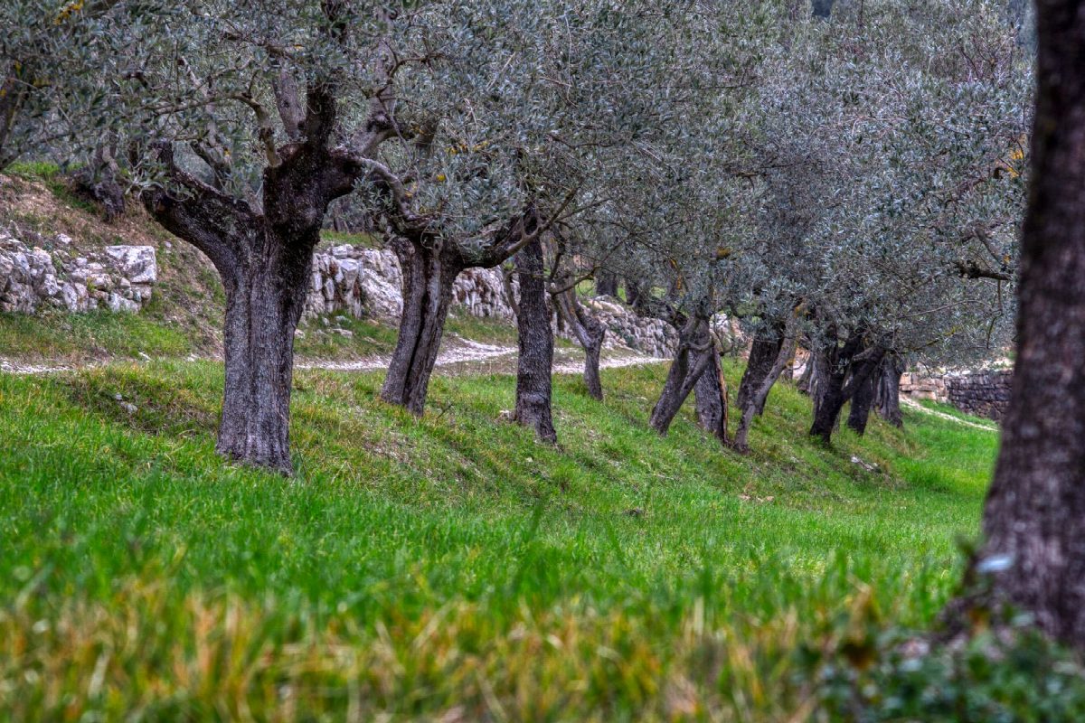 cyprus