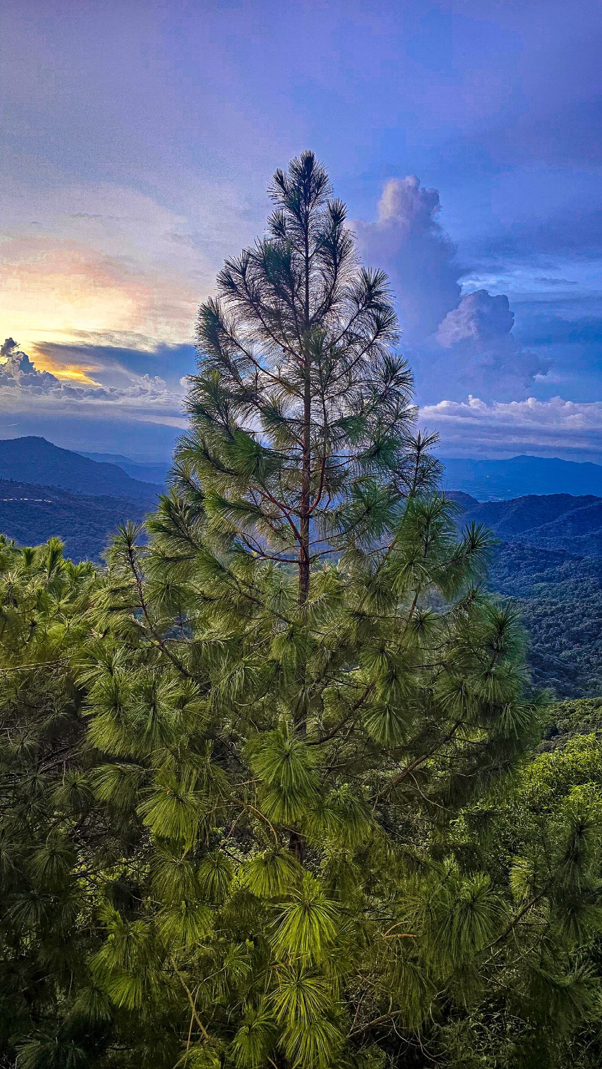 el-salvador