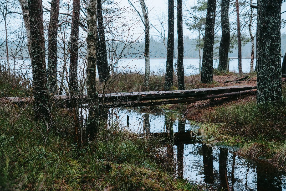Estonia