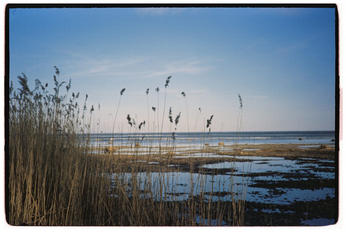 estland