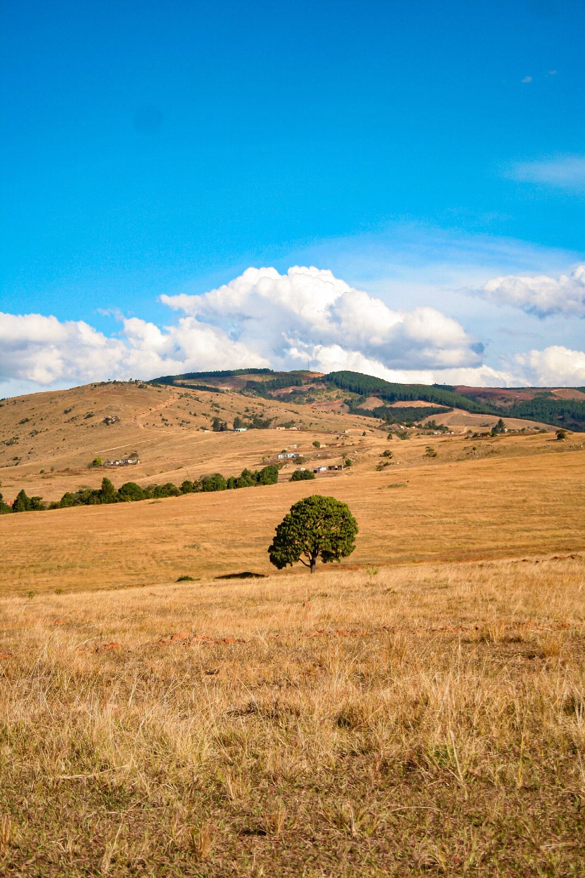 eswatini