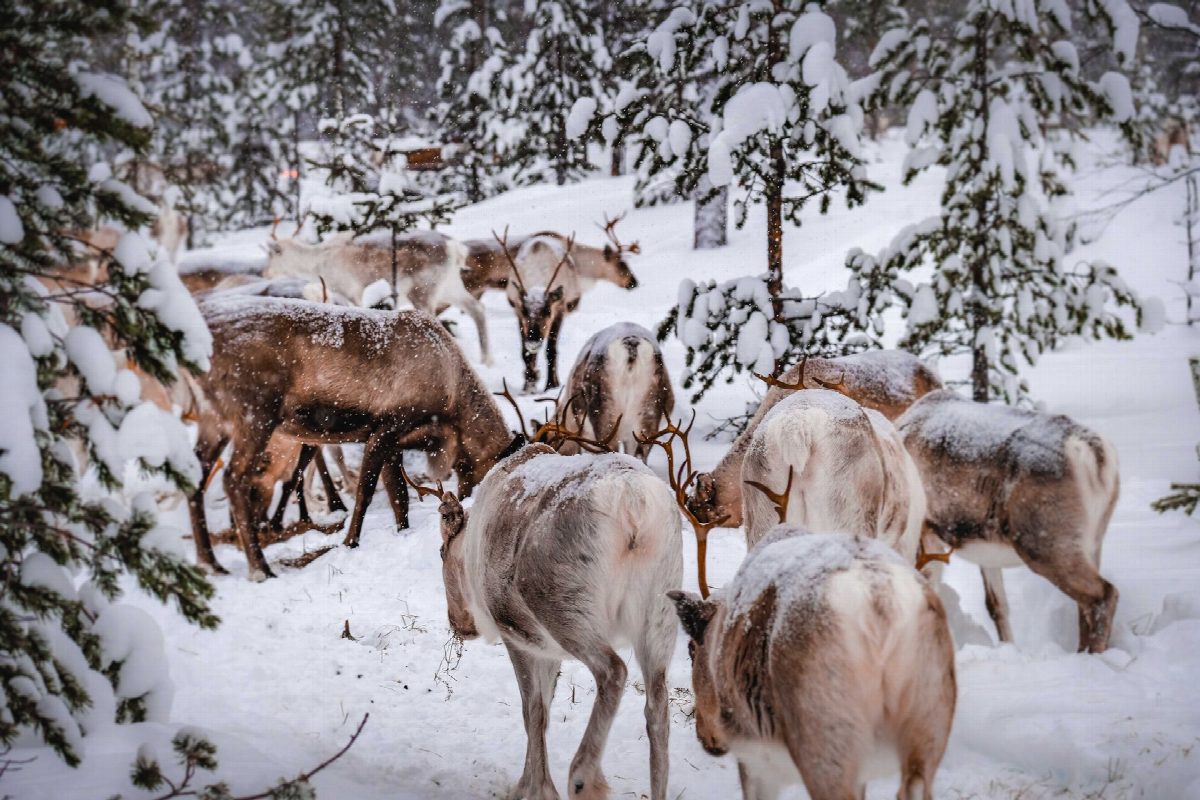 finland