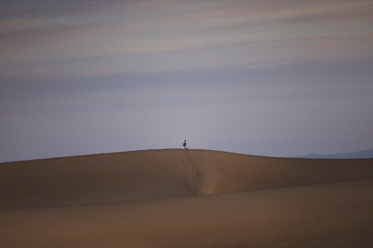 Expansive landscape in low light