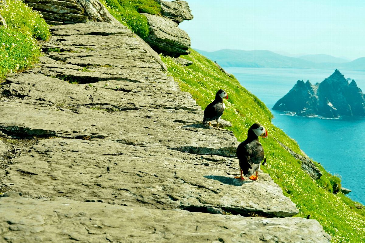 ierland