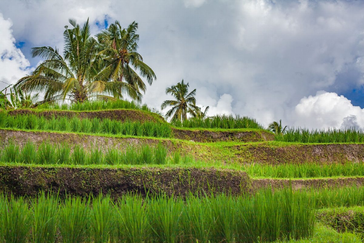 indonesie