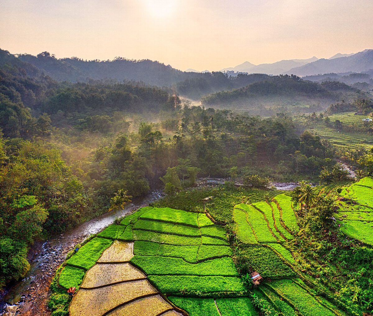 indonesie
