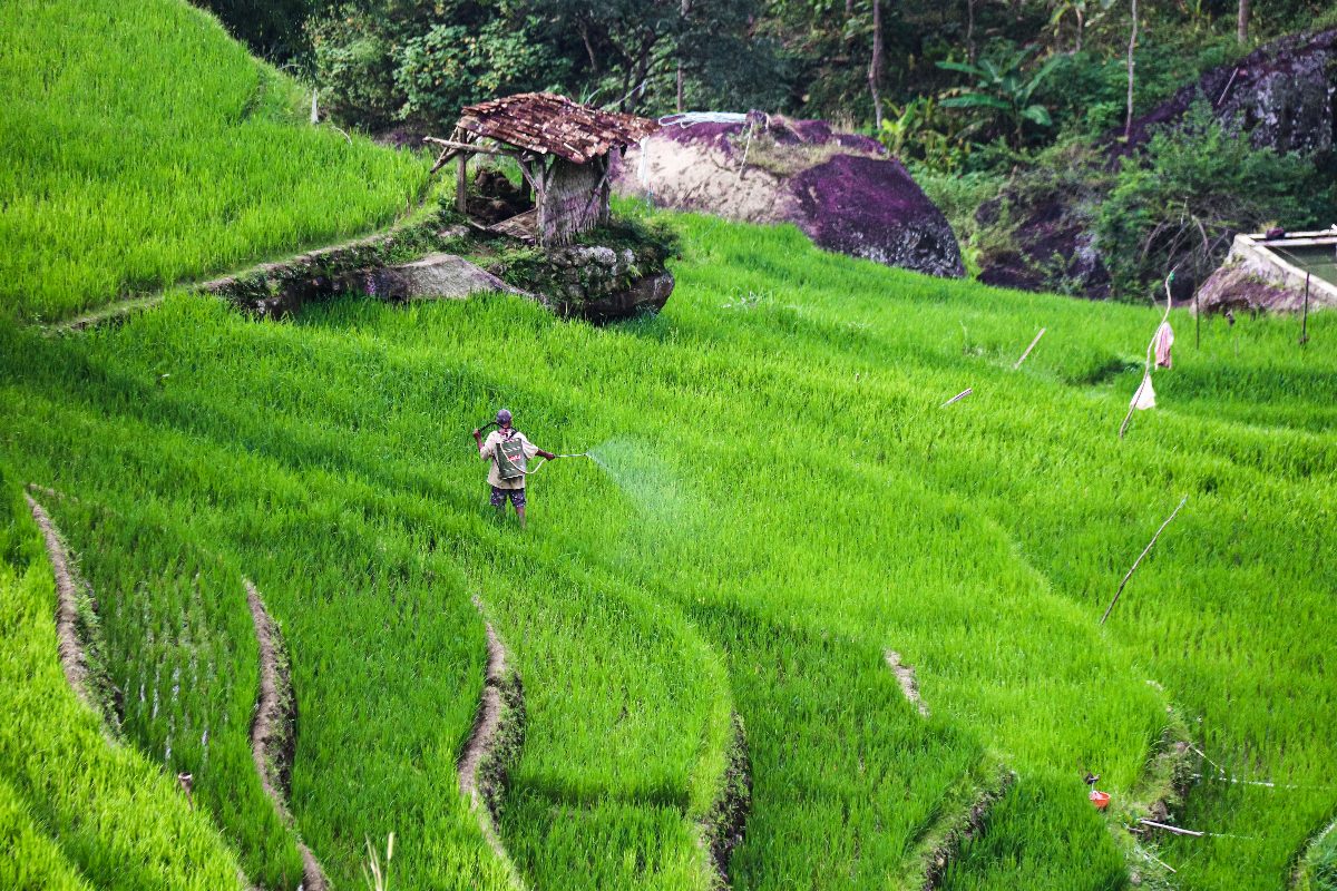 indonesie