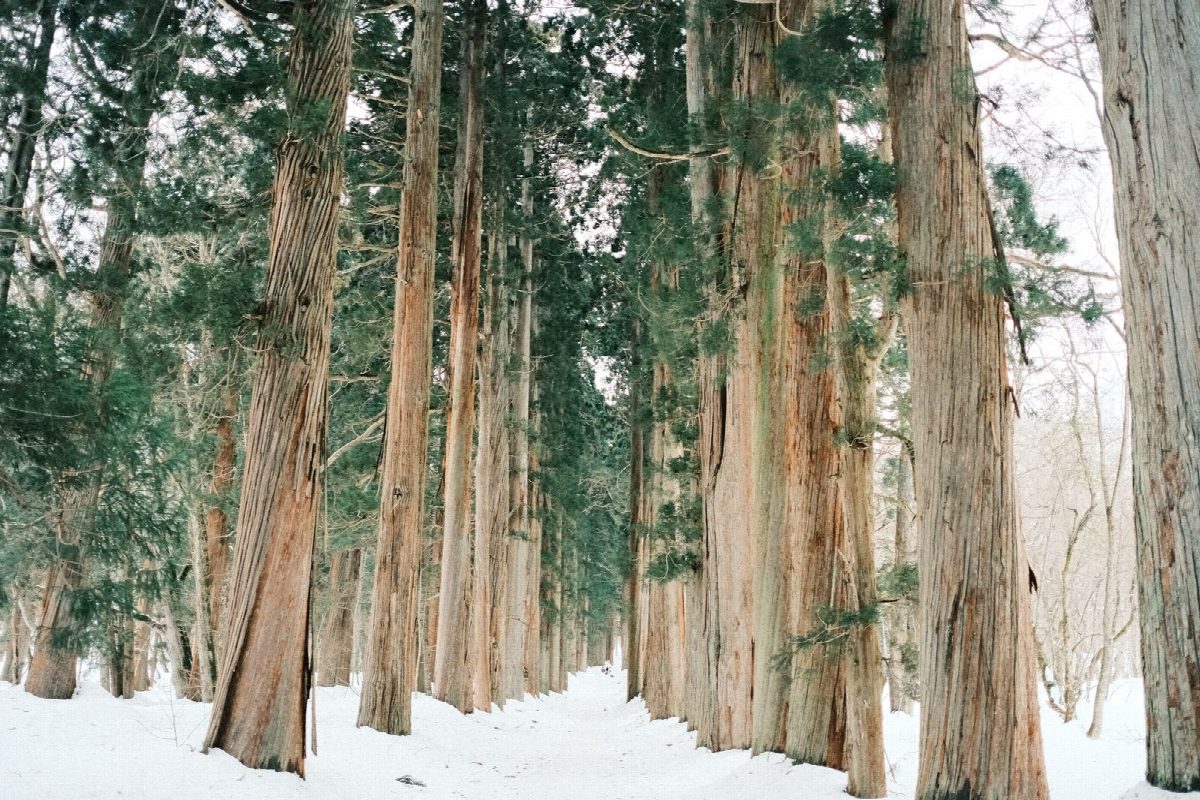 japan