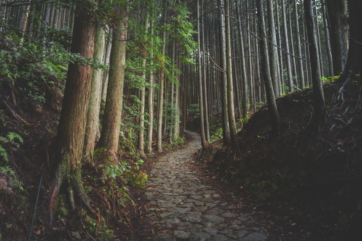 japan