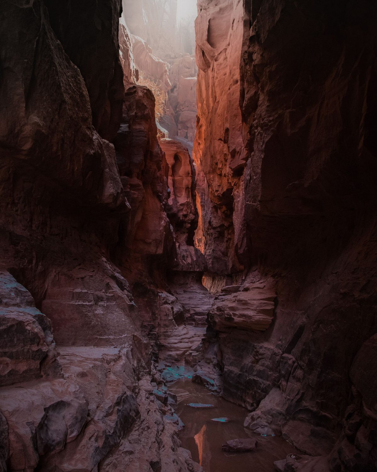 jordanie