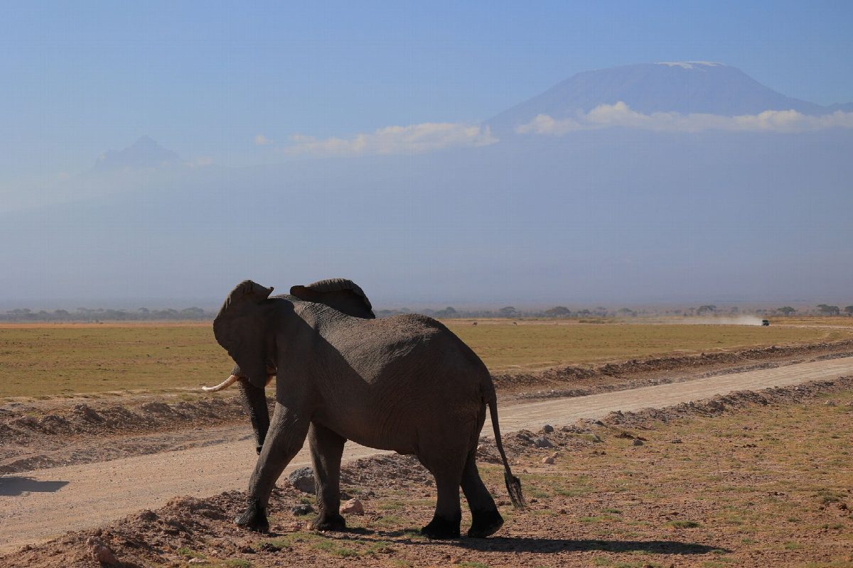 kenya
