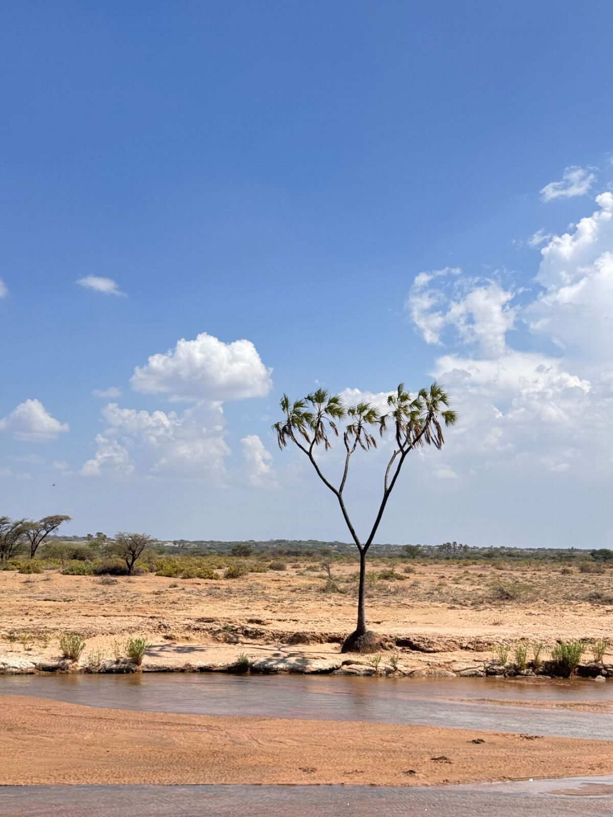 kenya