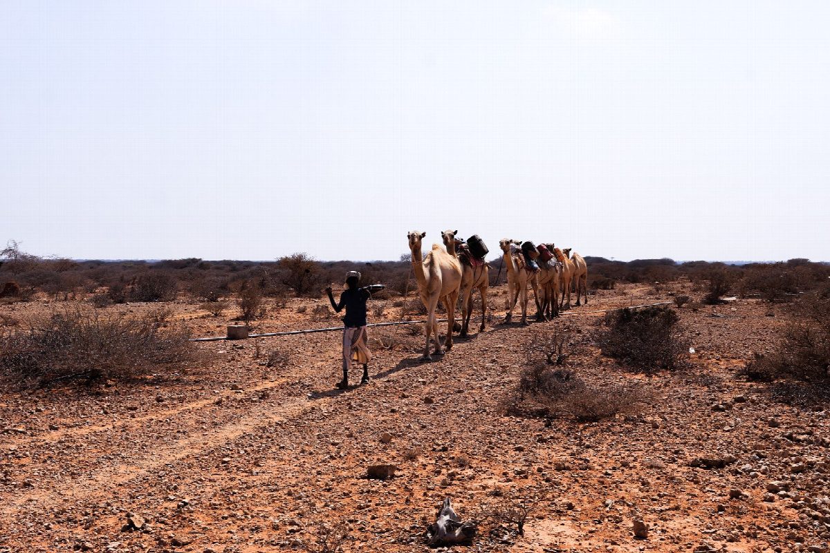 kenya