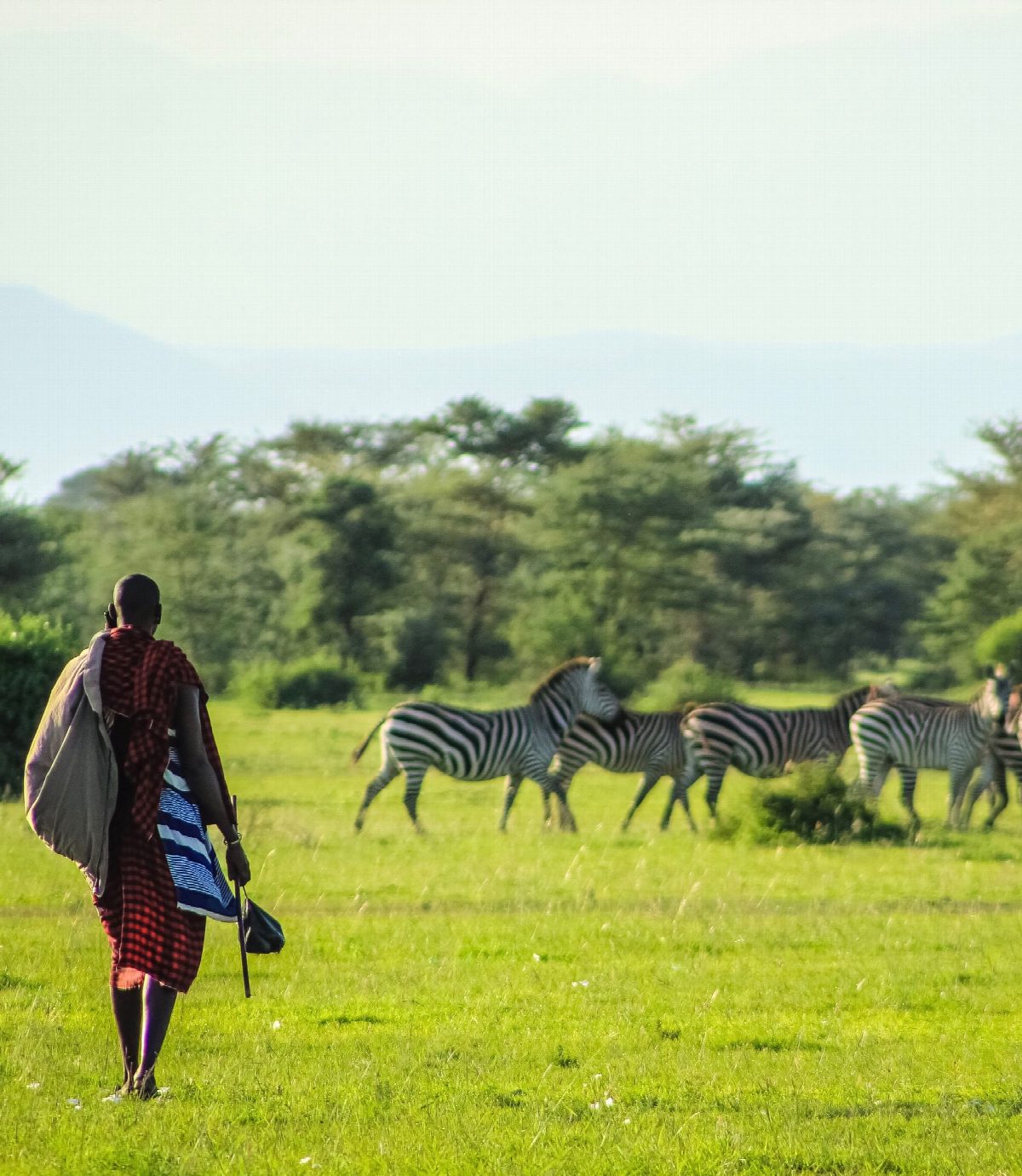 kenya