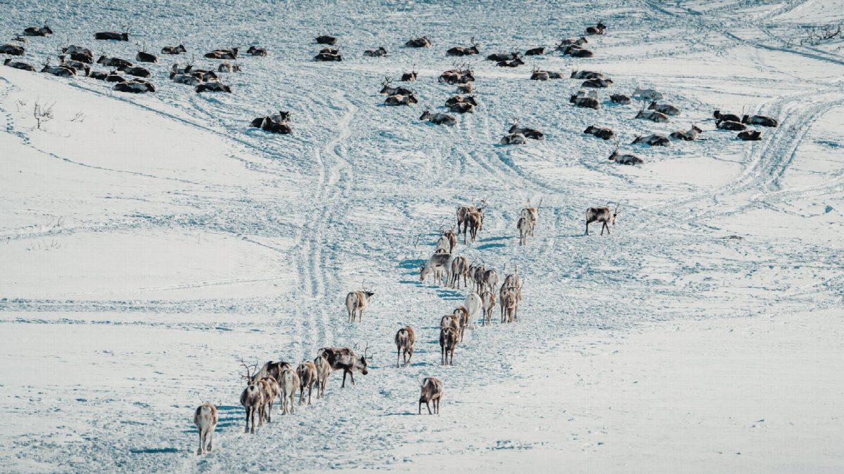lapland