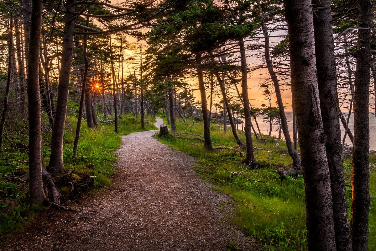 letland