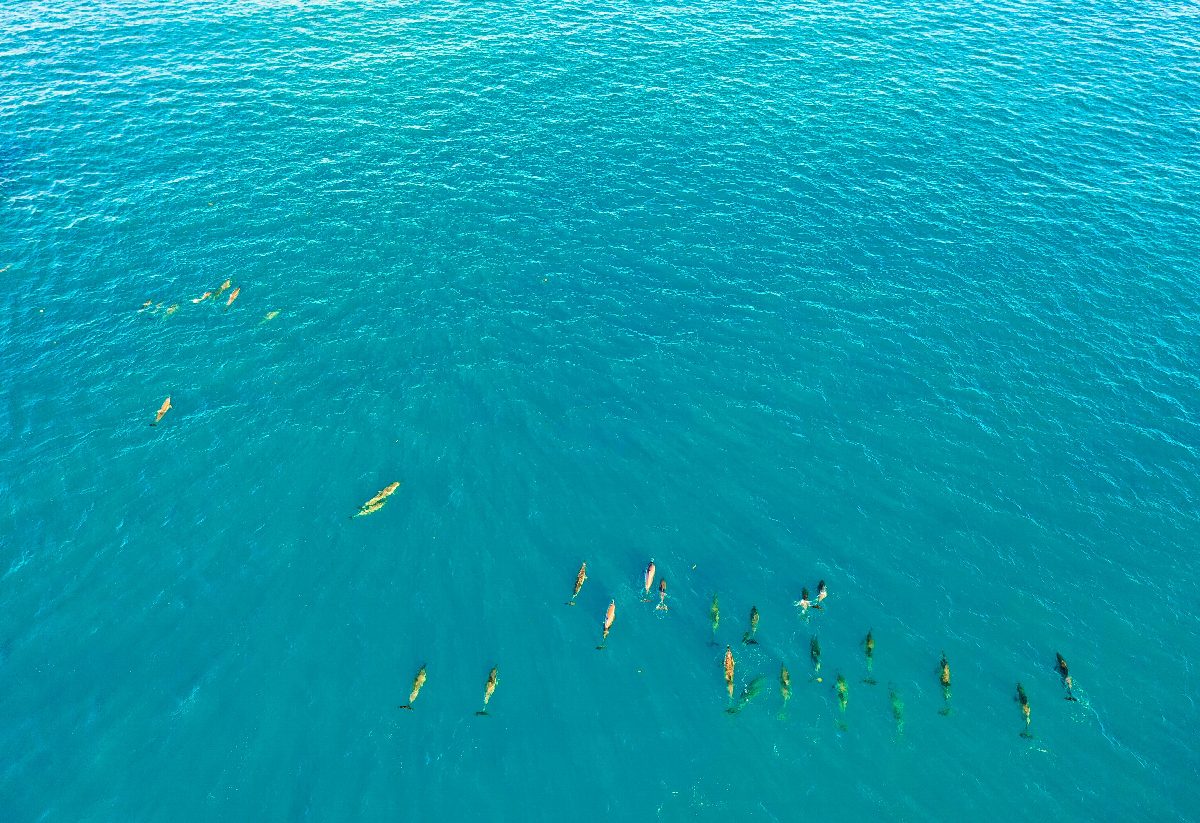 mauritius