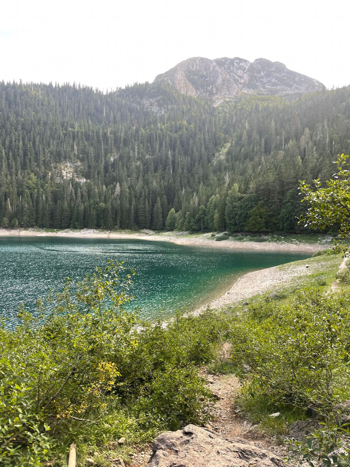 montenegro