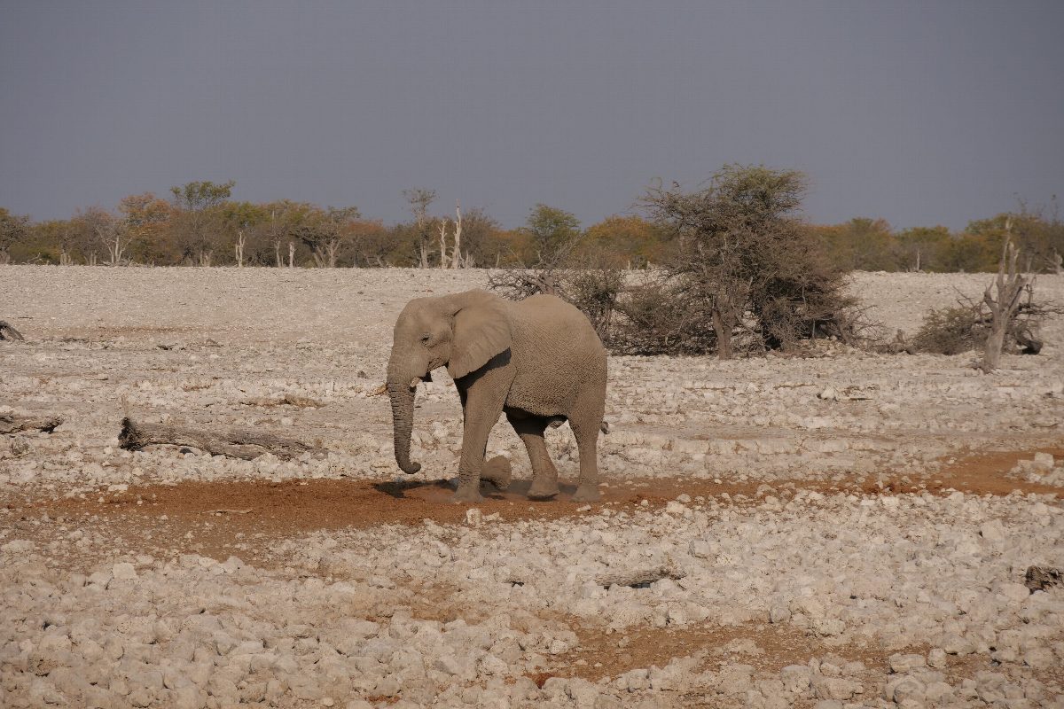 namibie