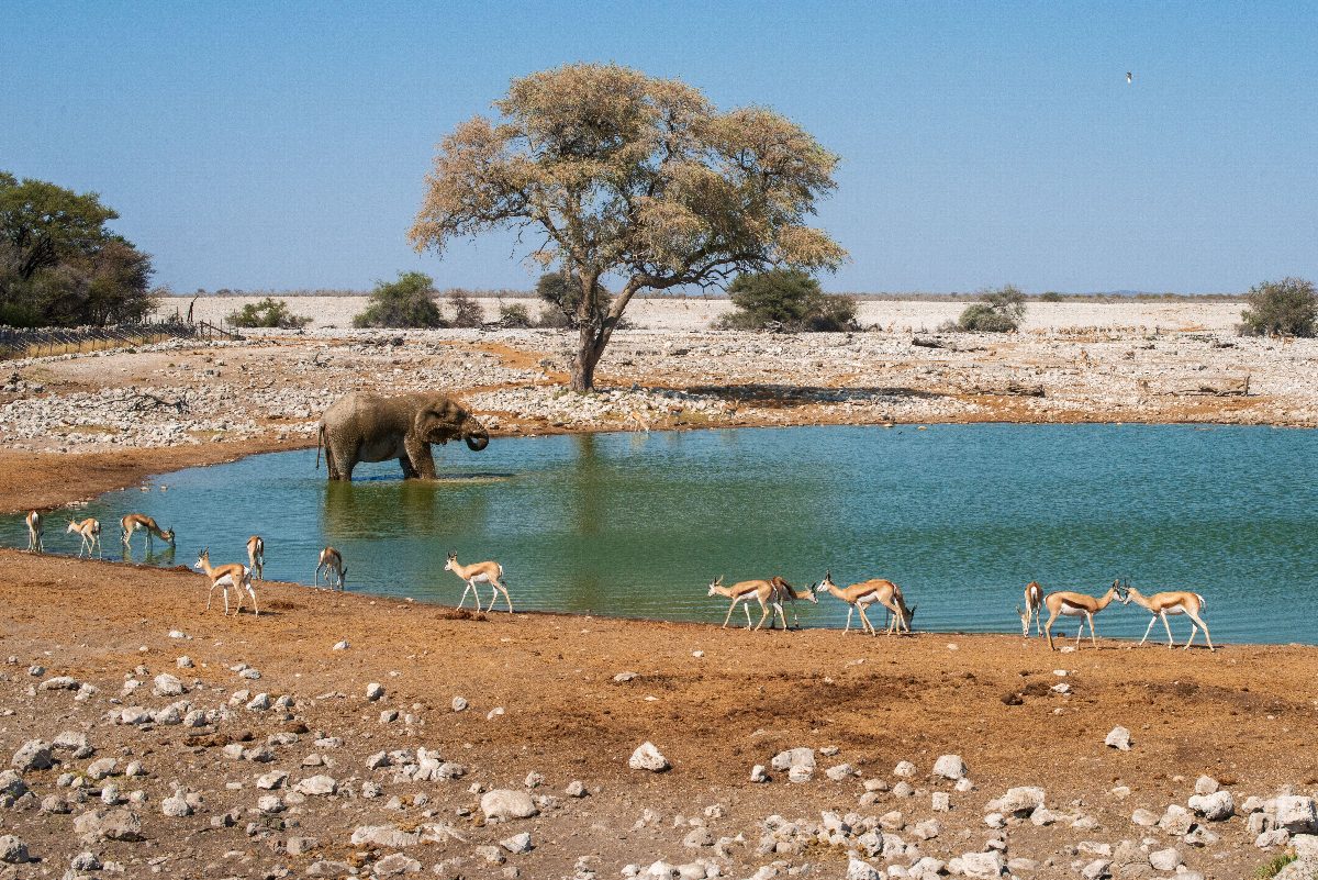 namibie
