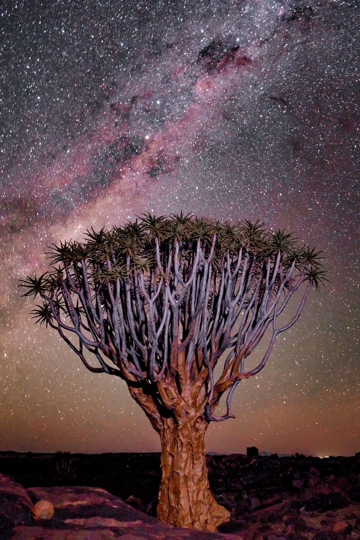 namibie