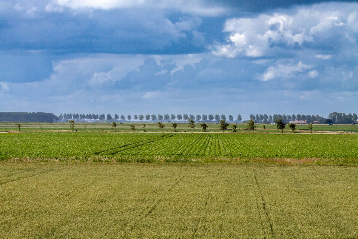 Netherlands