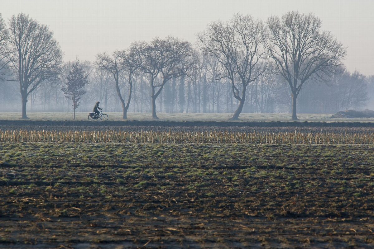 nederland