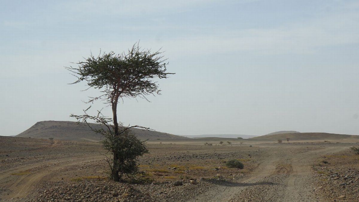 oman