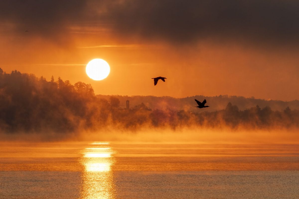Poland