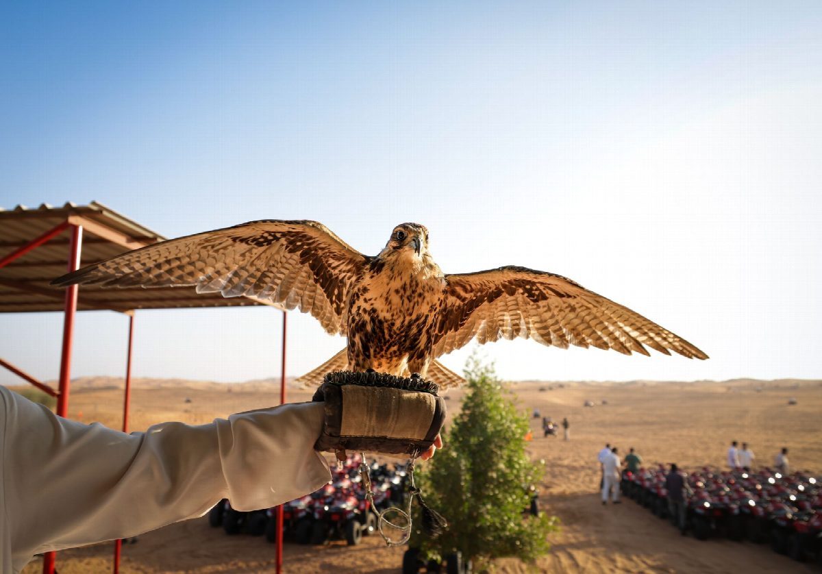 qatar