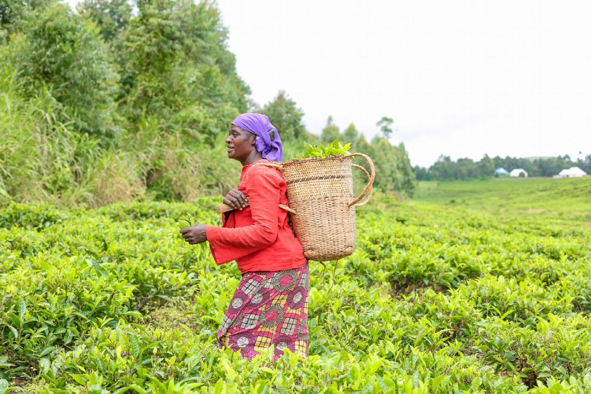 rwanda