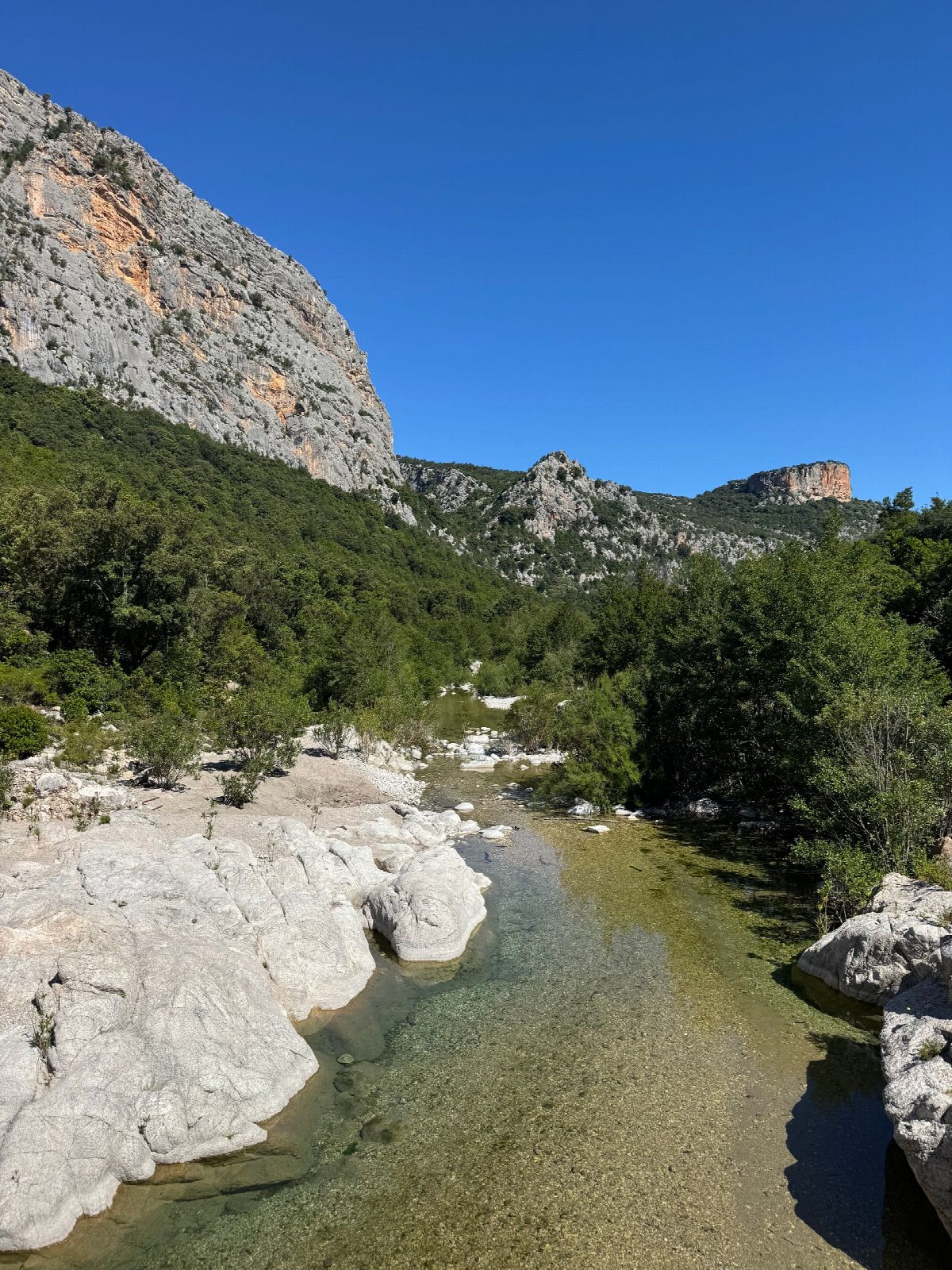 sardinie