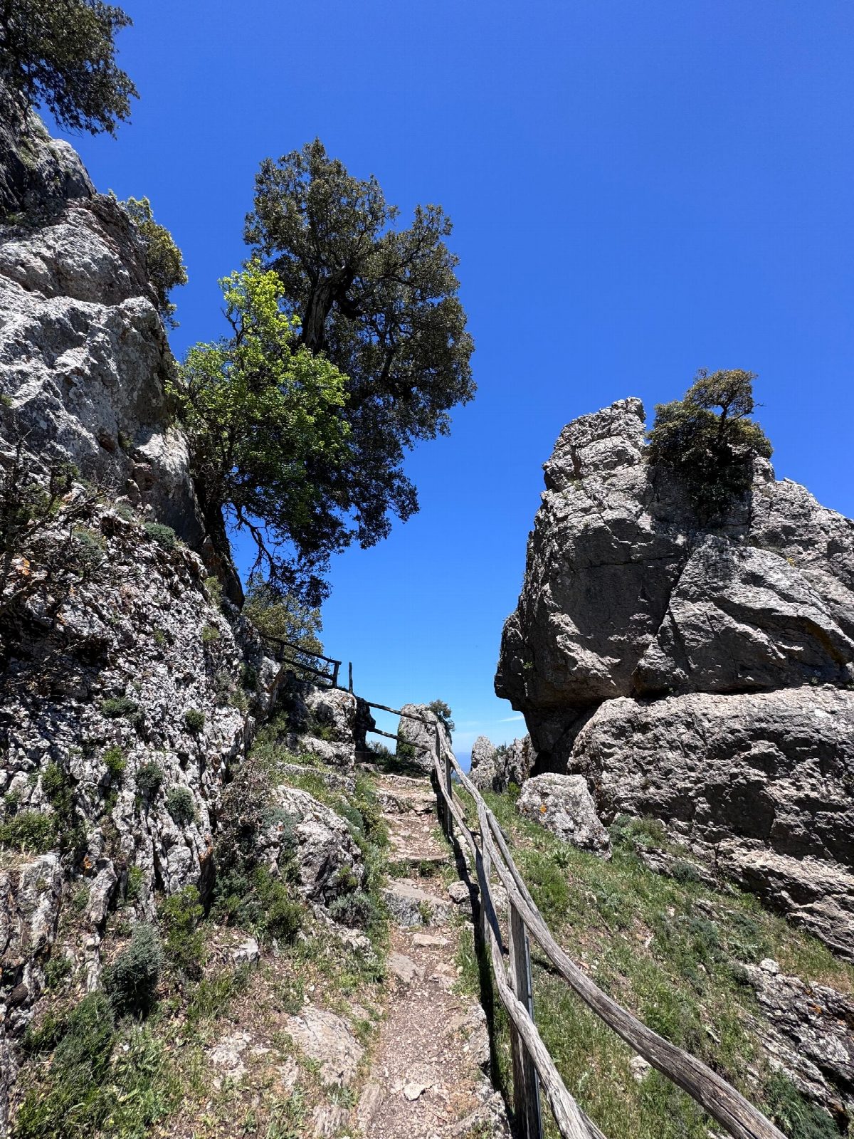 sardinie