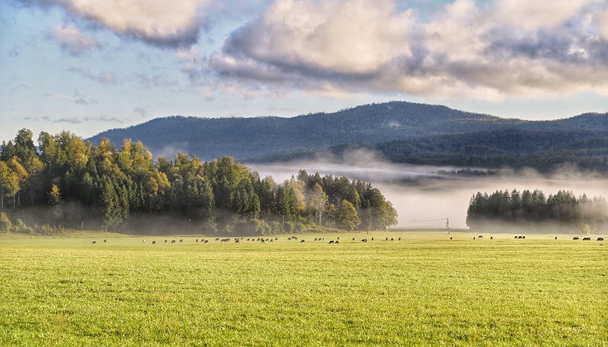 Slovenia