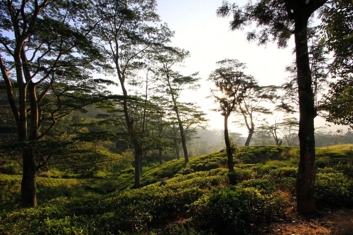 Sri Lanka